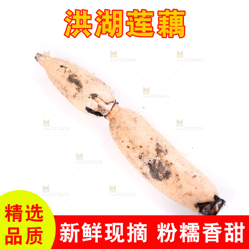 白底上放着洪湖莲藕