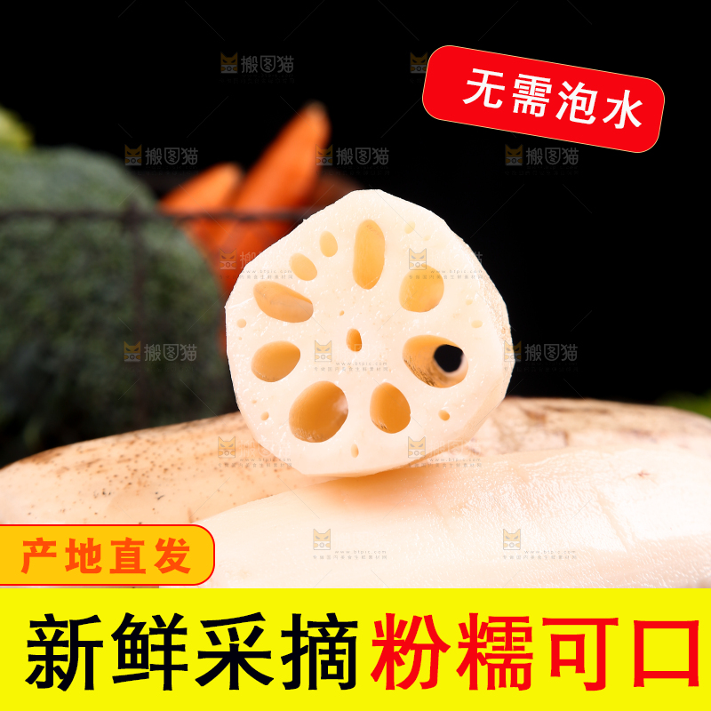 一堆洪湖粉藕