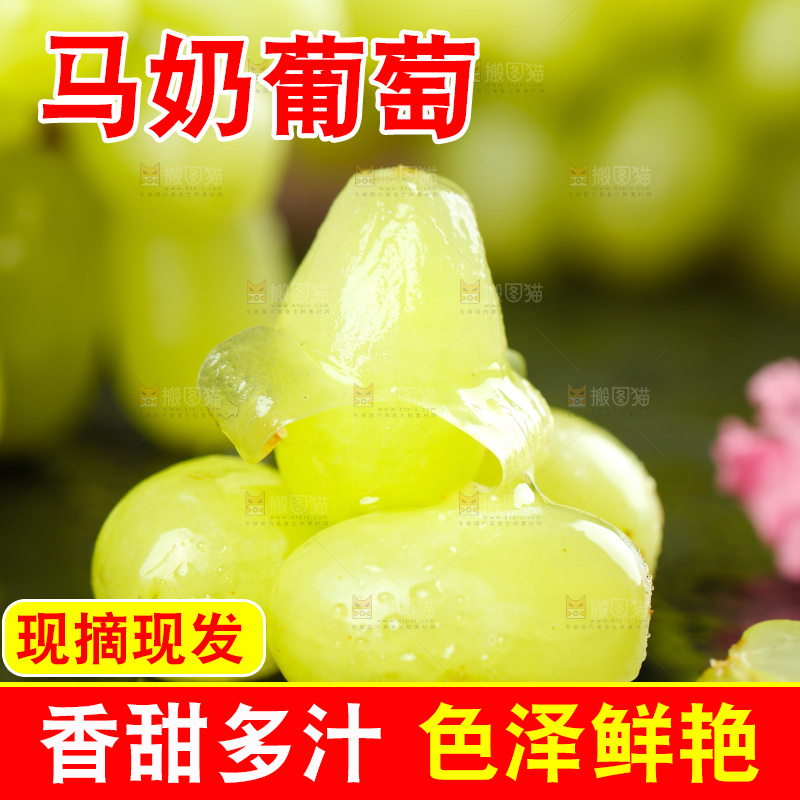 黑底上的白葡萄