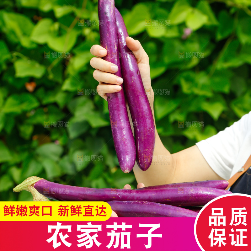 手里拿着长茄子