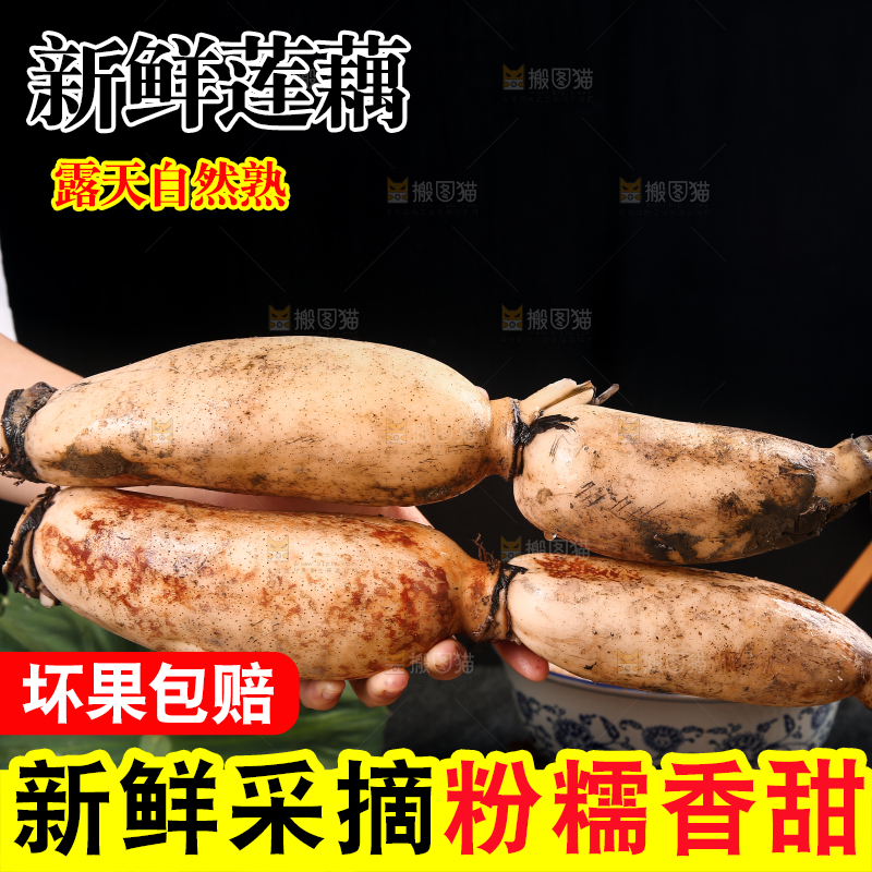 手上拿着粉藕