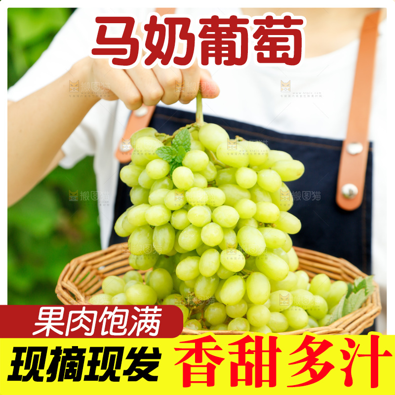 手里端着一篮新疆无核白葡萄