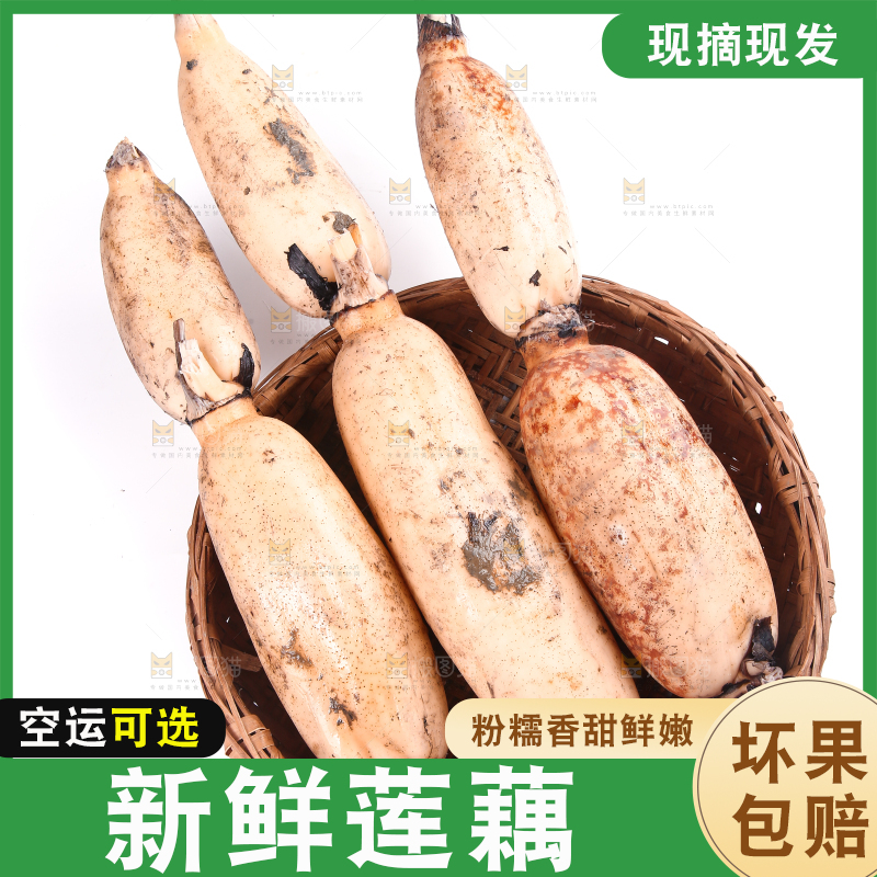 篮子里的洪湖莲藕