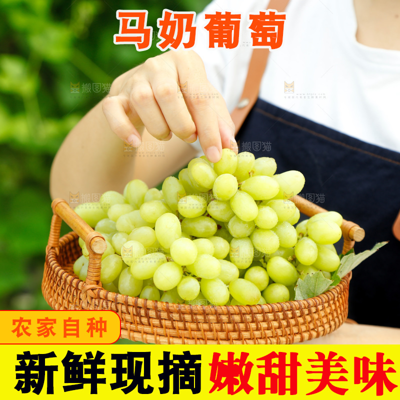手里端着一篮新疆无核白葡萄