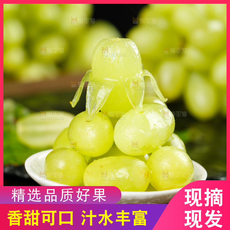 一碟玛奶提