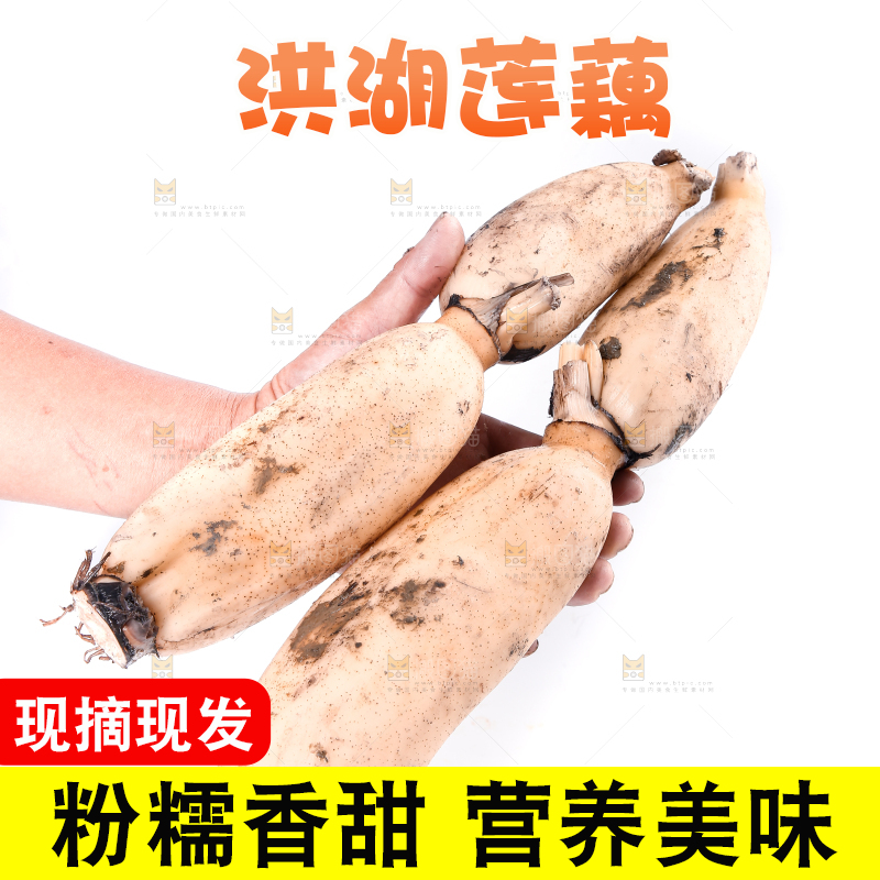 手里拿着湖北莲藕