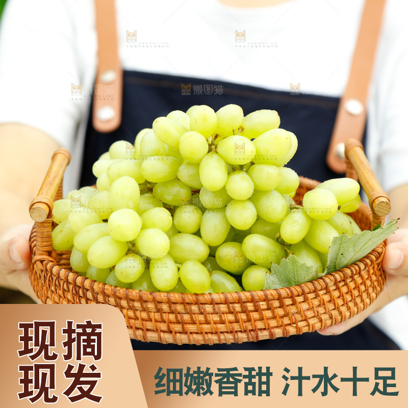 手里端着一篮新疆无核白葡萄