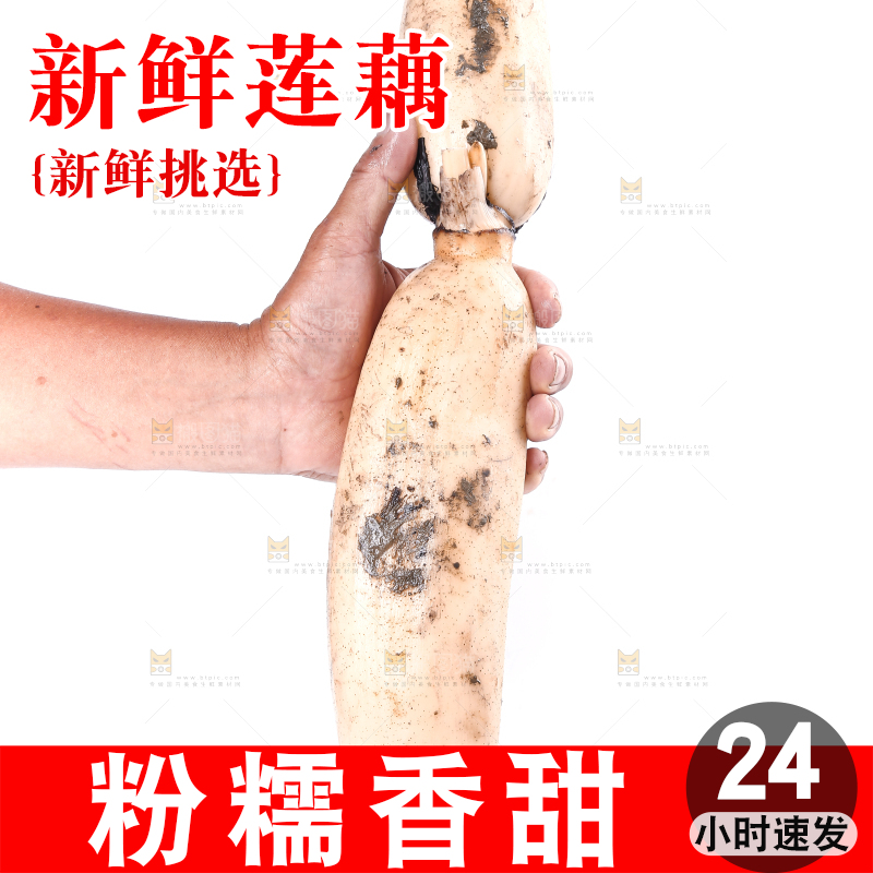 手里拿着湖北莲藕