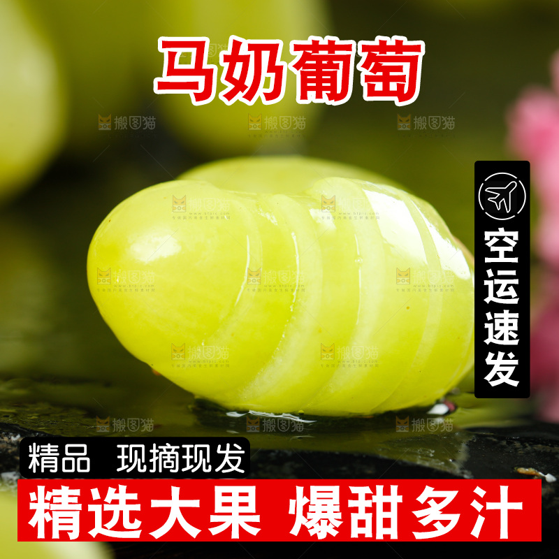 黑底上的白葡萄