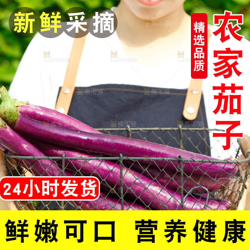 手里端着一篮紫茄子