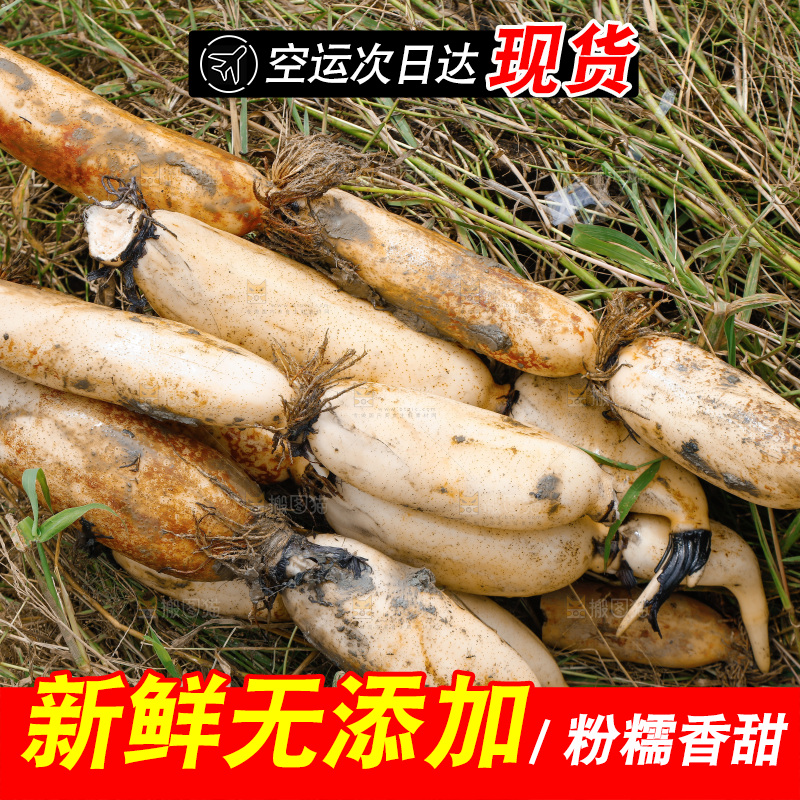 一堆新鲜莲藕