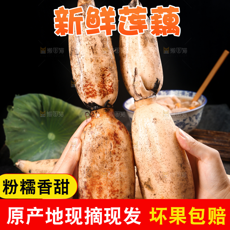 手上拿着粉藕