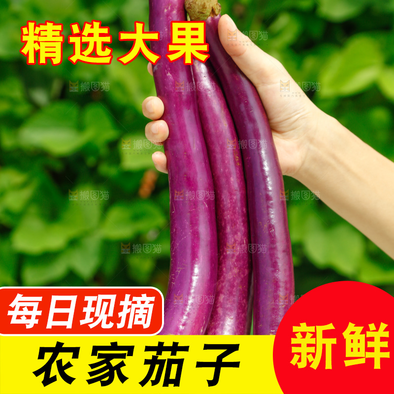 手里拿着长茄子