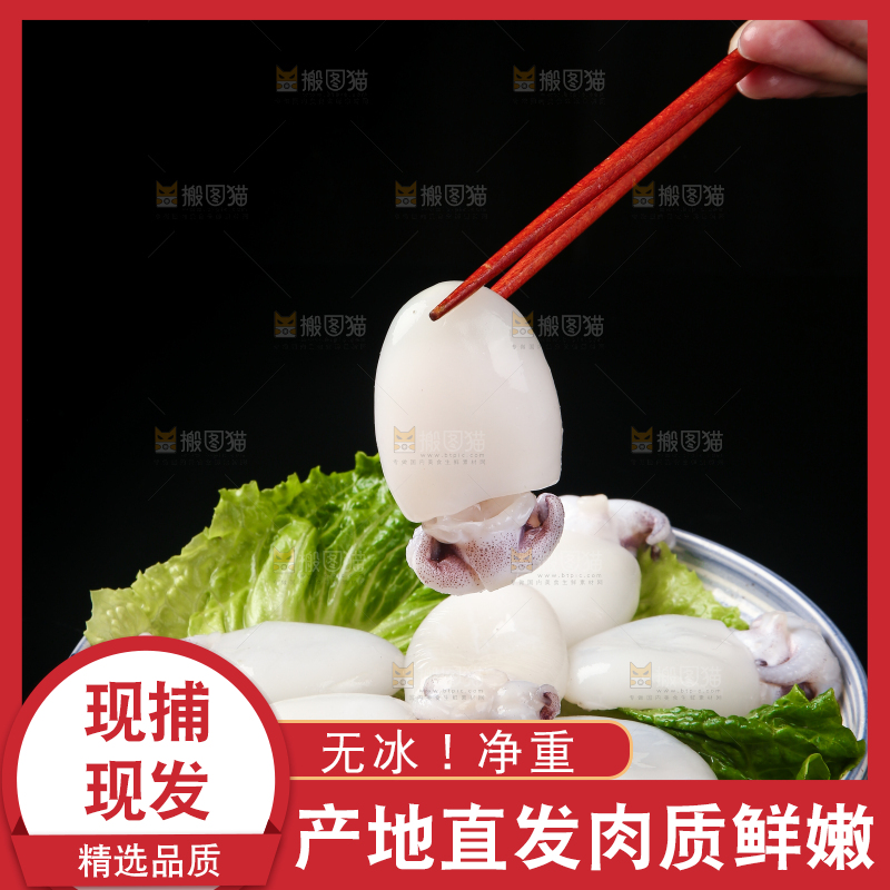 筷子上夹着墨鱼