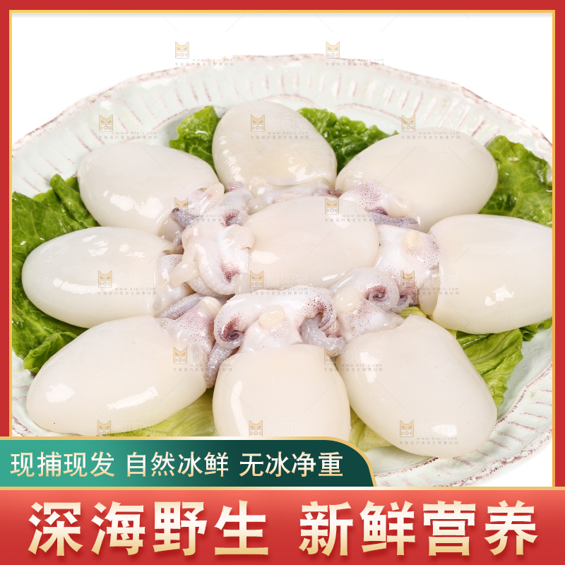 白底上放着一盘小墨鱼