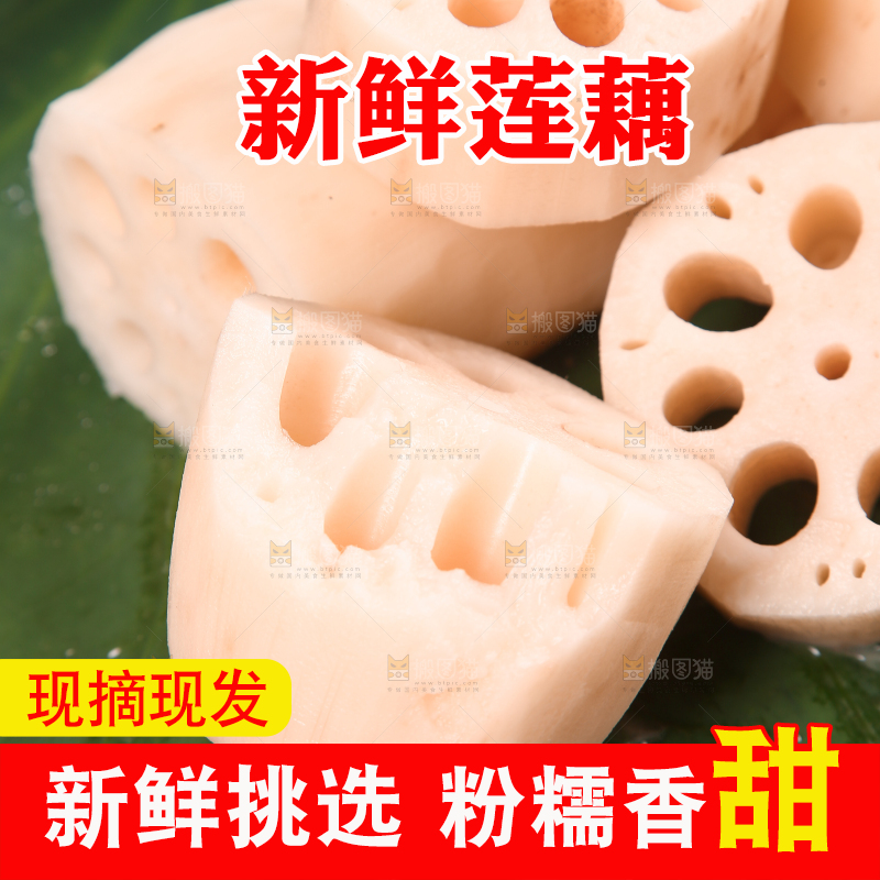 荷叶上的粉藕
