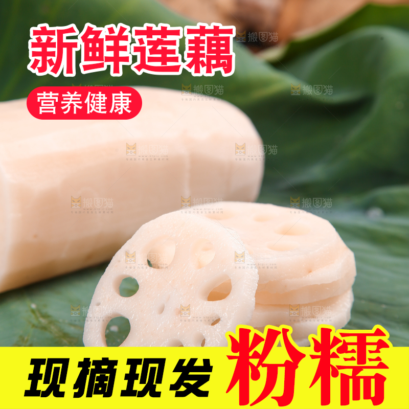 荷叶上的莲藕和藕片