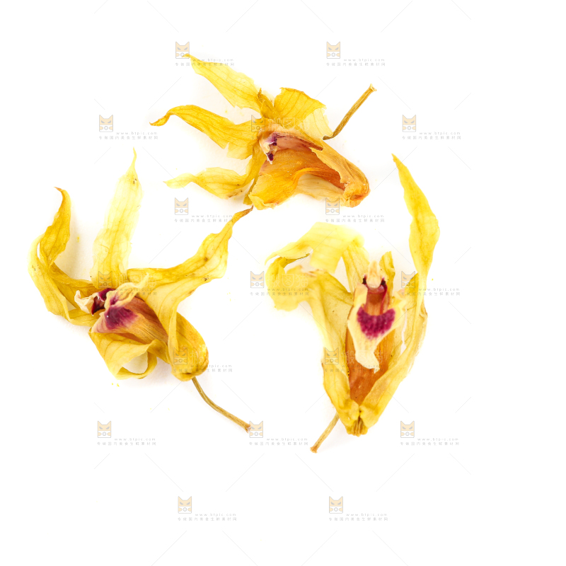 白底上的石斛花干