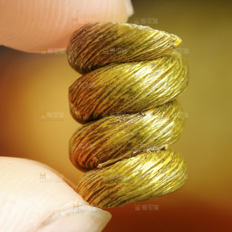 手里拿着霍山石斛
