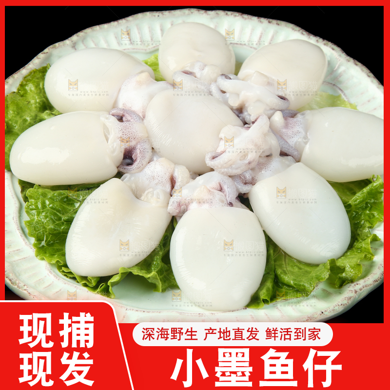 黑底上放着一盘新鲜墨鱼仔