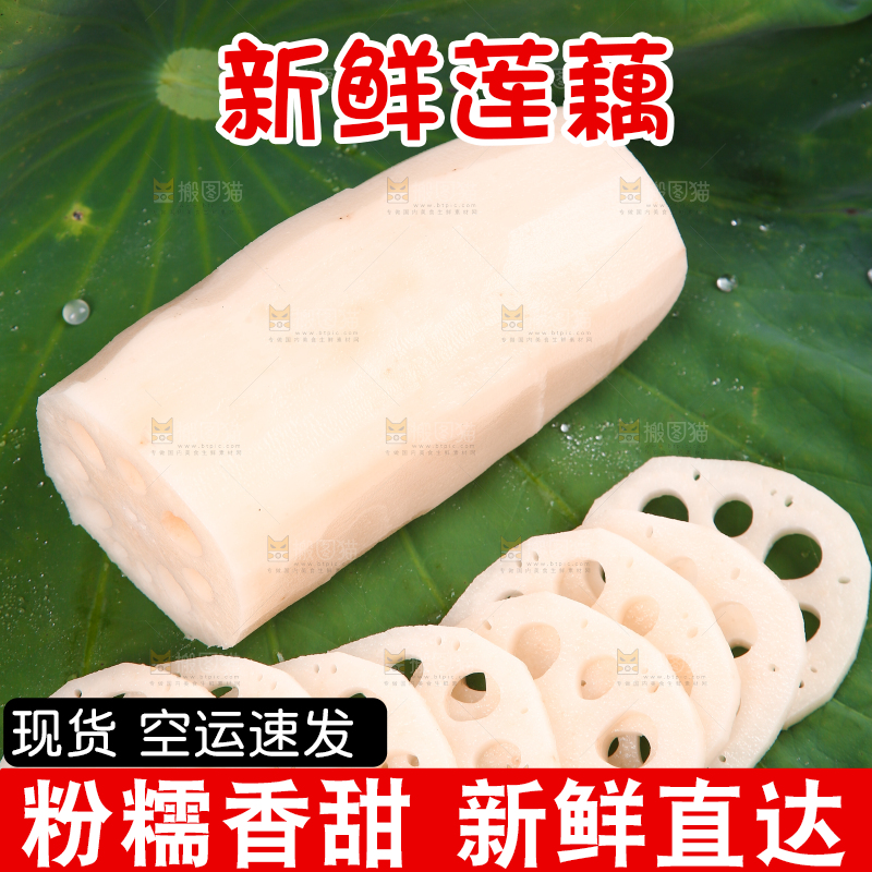 荷叶上的莲藕和藕片