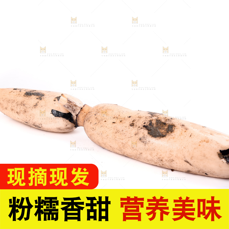 白底上放着洪湖莲藕
