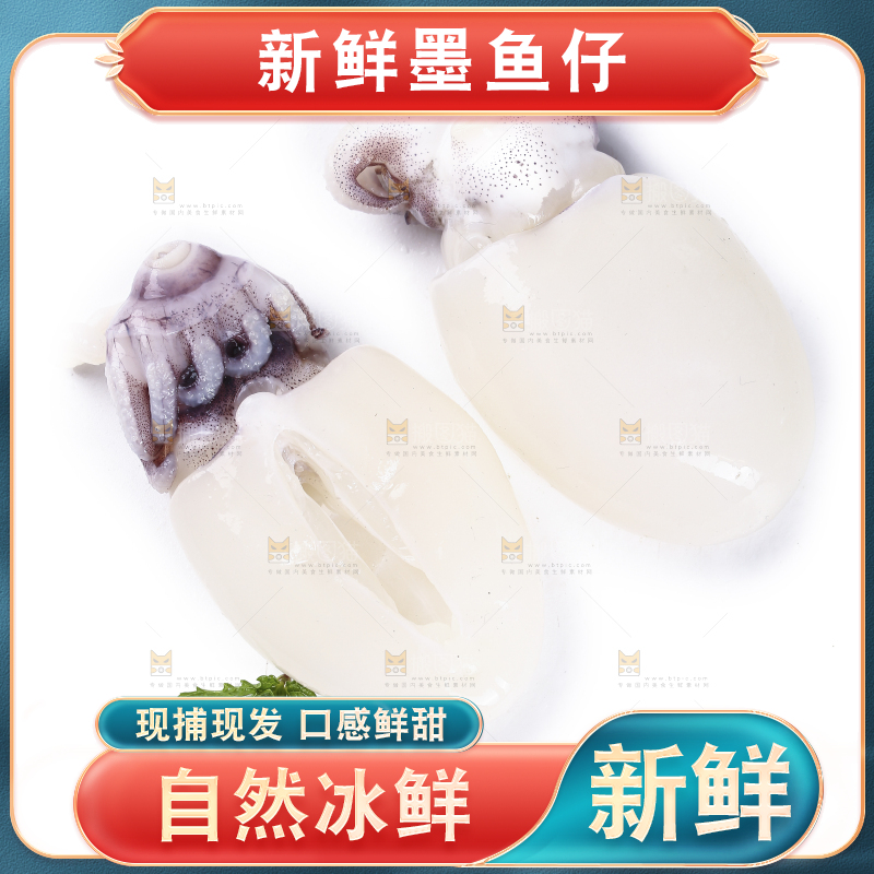 白底上放着墨鱼仔
