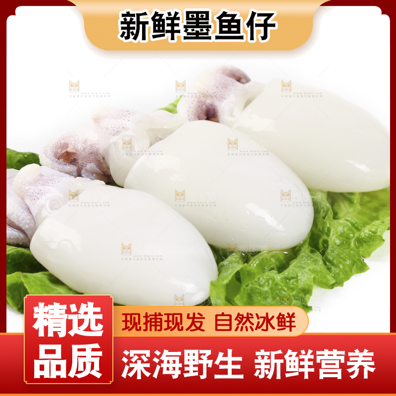 白底上放着墨鱼仔