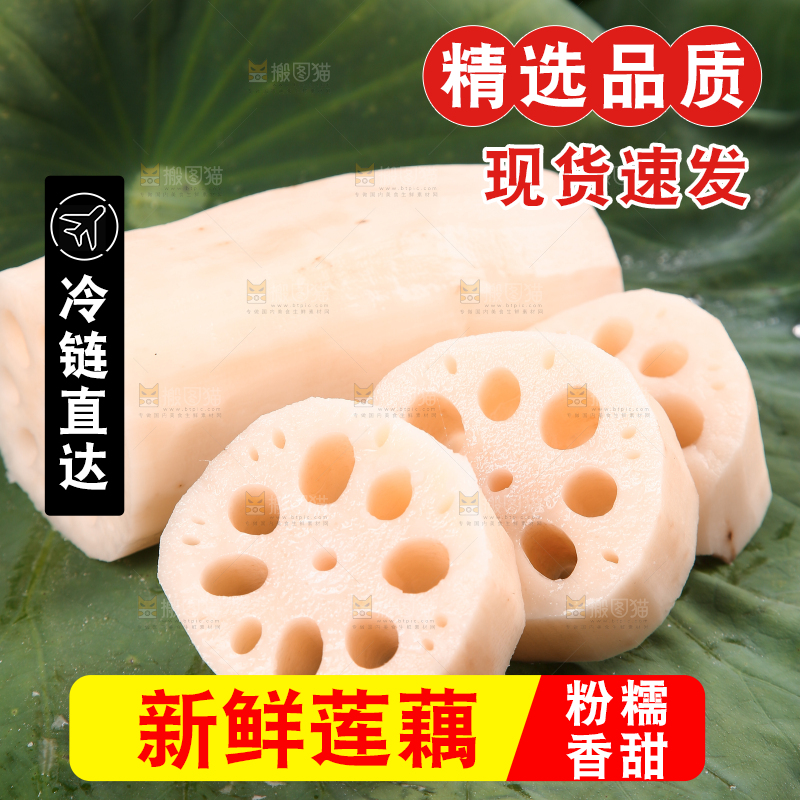 荷叶上的莲藕