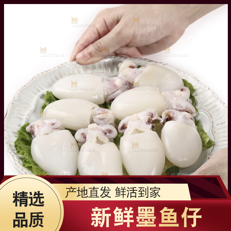 手上端着一盘新鲜墨鱼仔