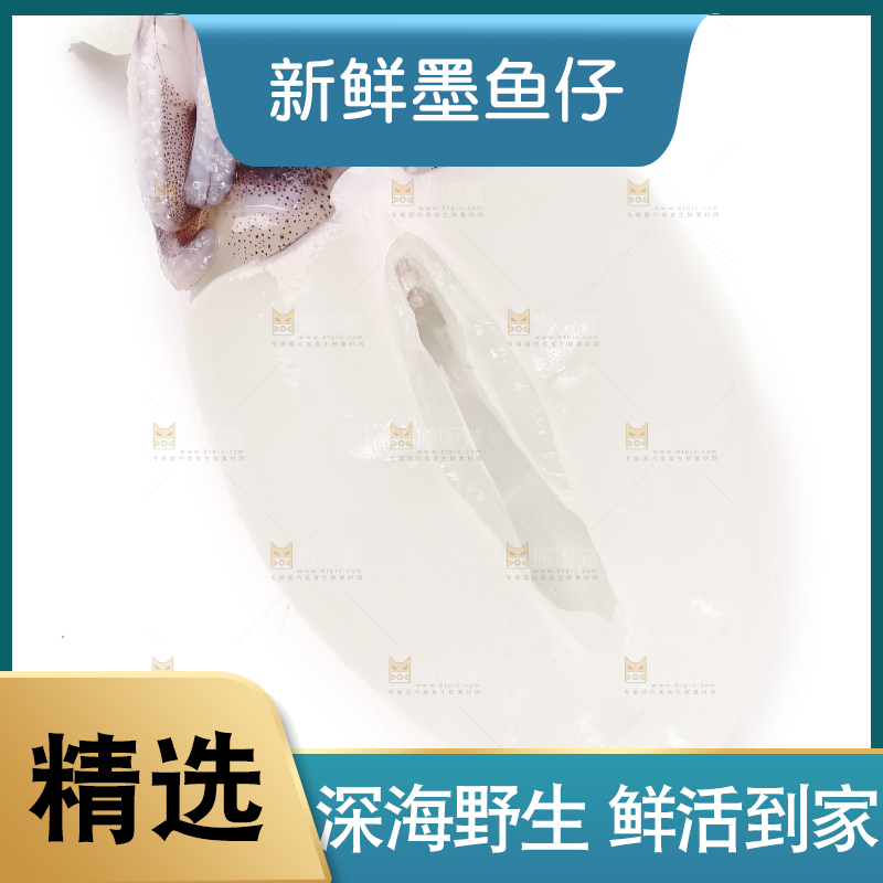 白底上放着墨鱼仔