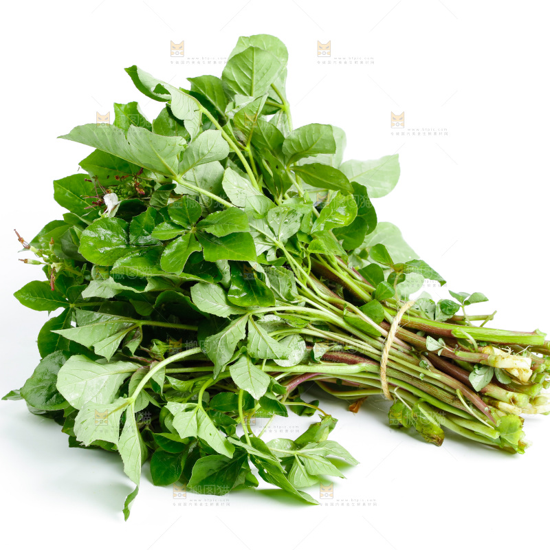 一把新鲜白花菜