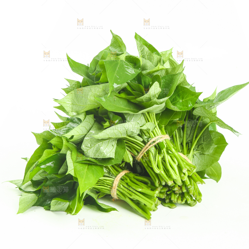 白底上摆放着一堆新鲜苕尖