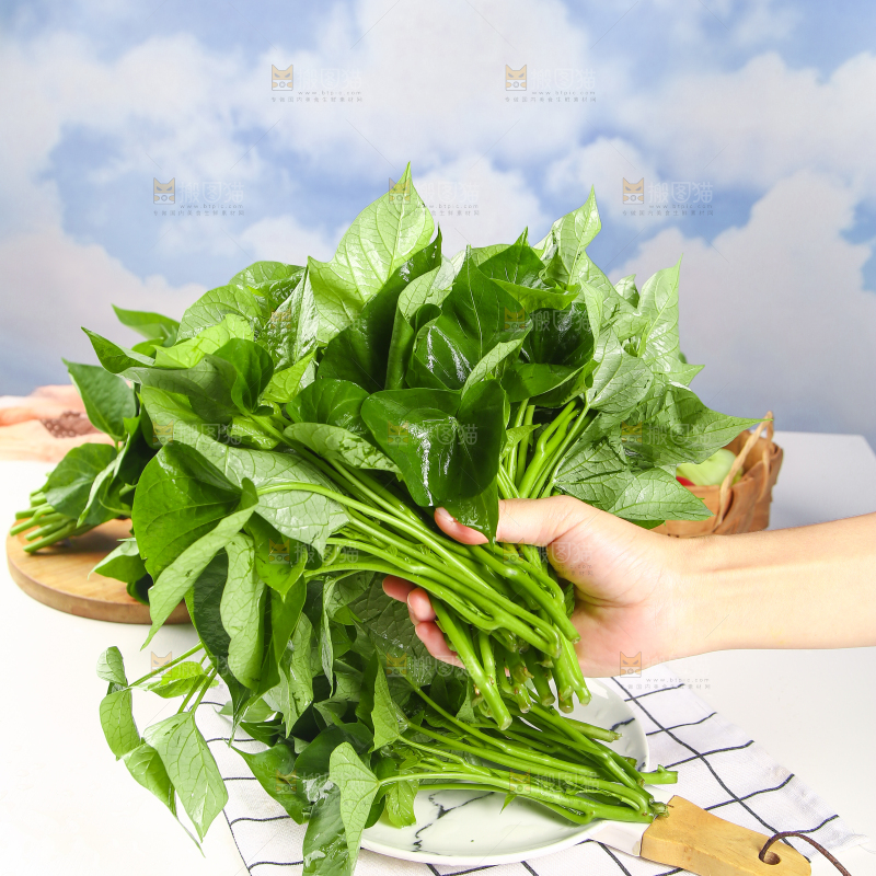 手里拿着红薯叶