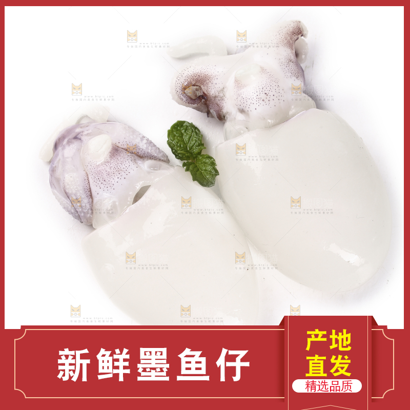 白底上放着墨鱼仔