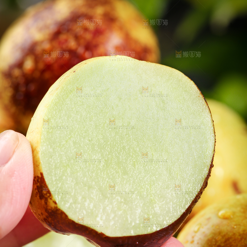 手里拿着冬枣