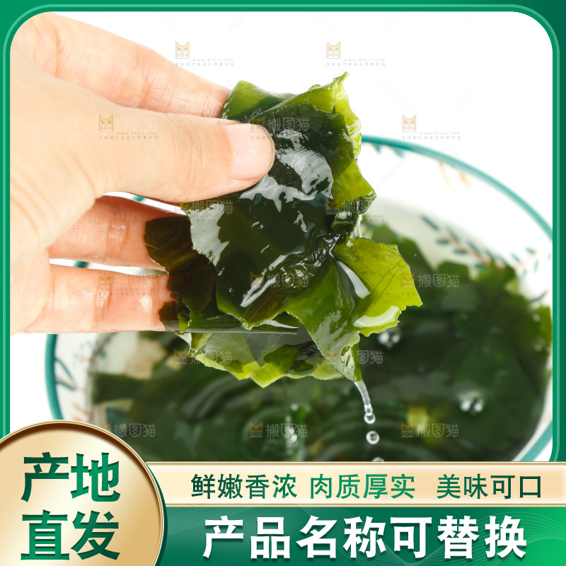 手里拿着海带苗