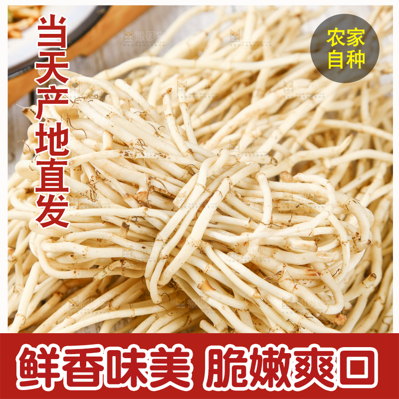 一堆新鲜折耳根