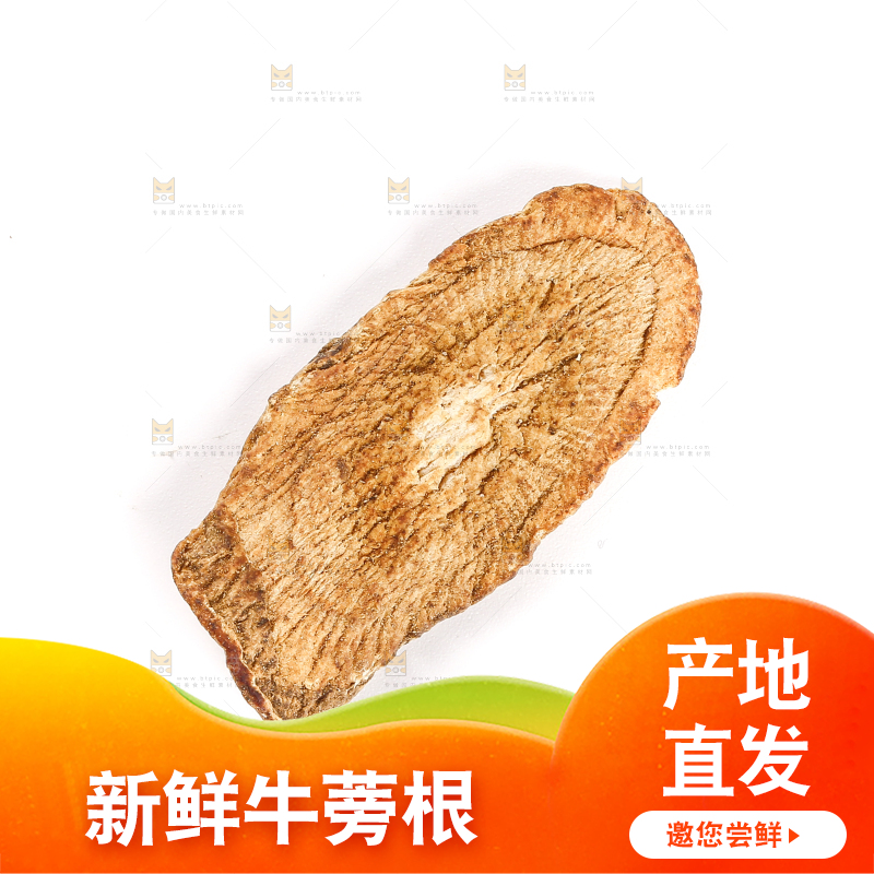 白底上的牛蒡片