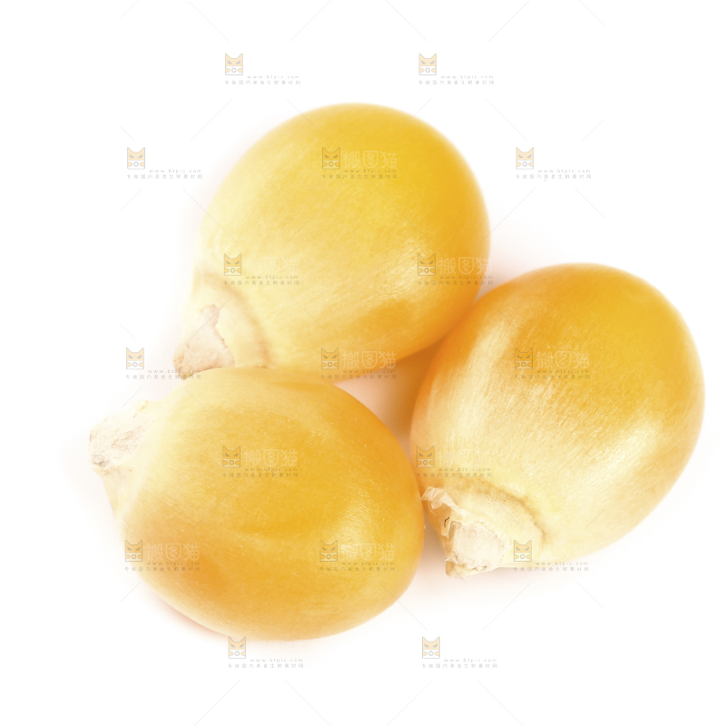 白底上的玉米粒