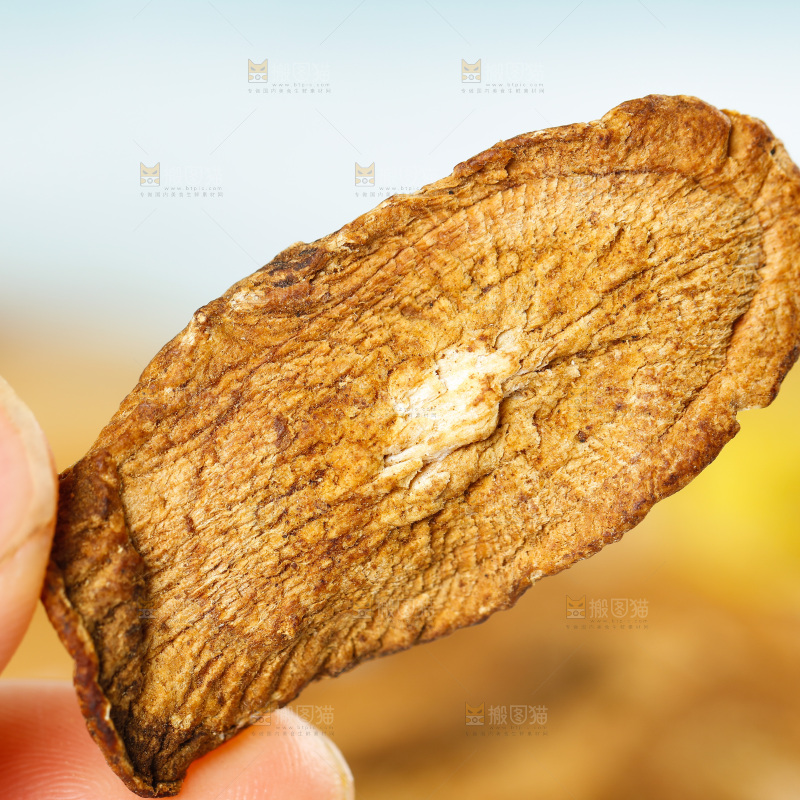 手里拿着牛蒡