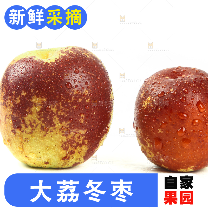 白底上的山东沾化冬枣