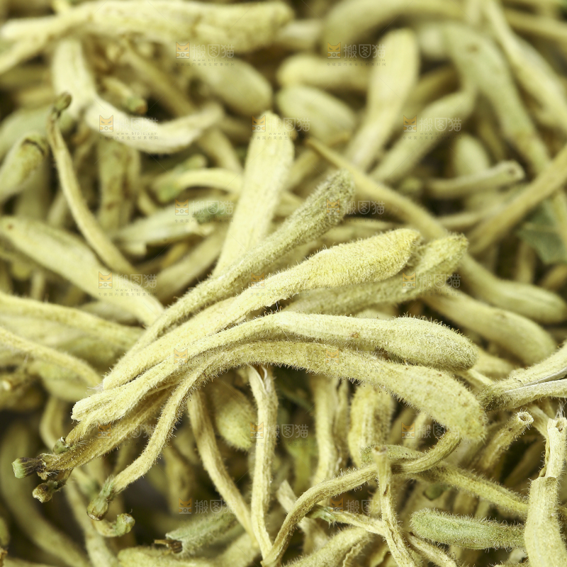 一堆金银花