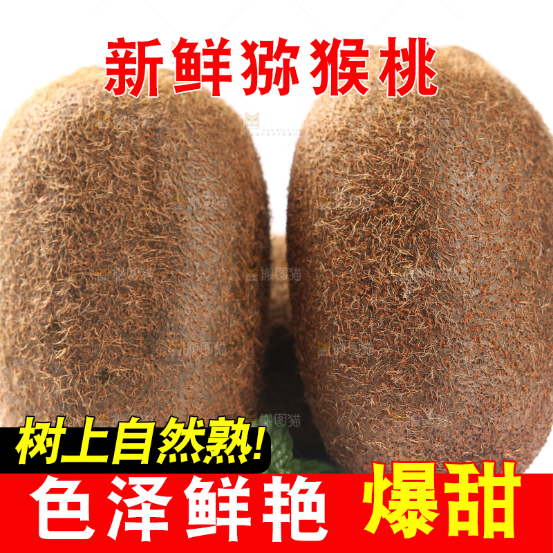 修文猕猴桃摆放在白底上