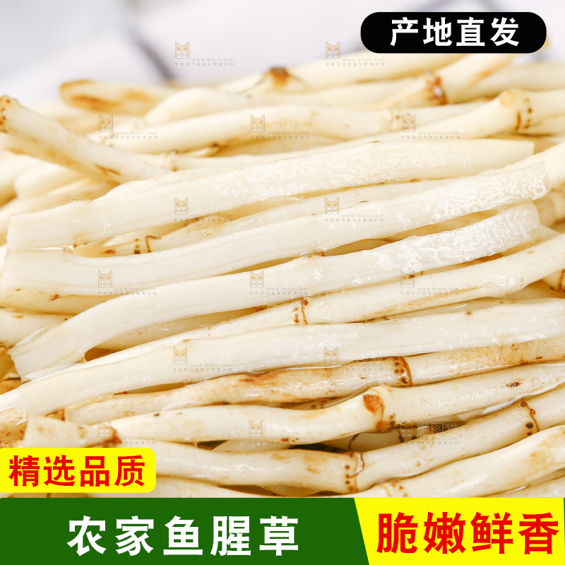 一堆新鲜折耳根