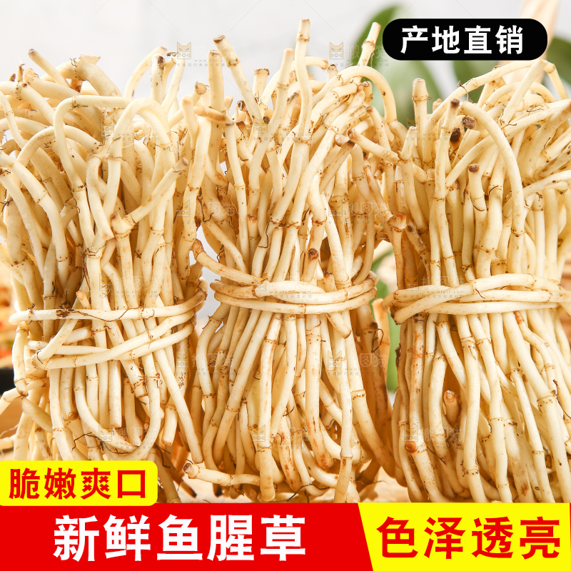 木板上放着一堆鲜嫩鱼腥草