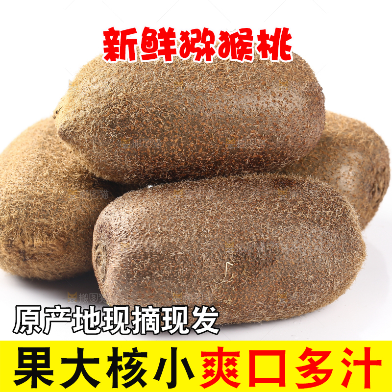 一堆新鲜修文猕猴桃