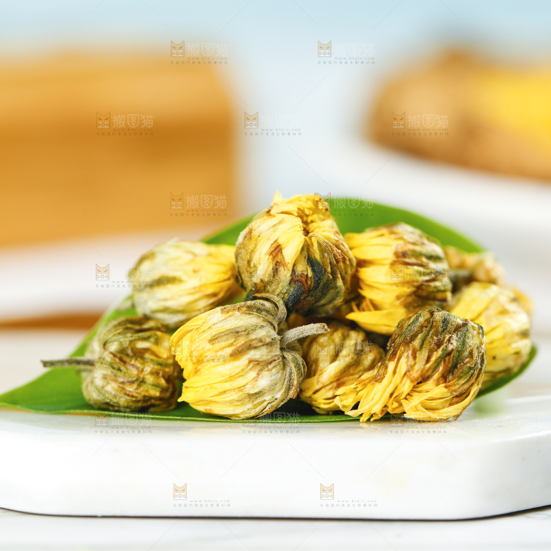 石垫上的胎菊