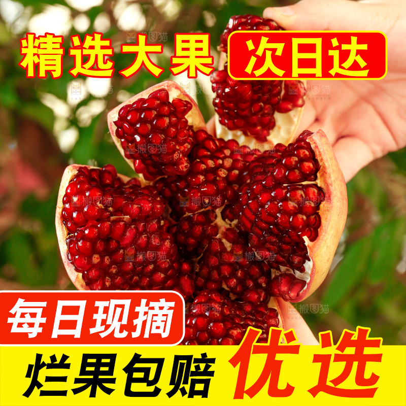 手上拿着突尼斯软籽石榴