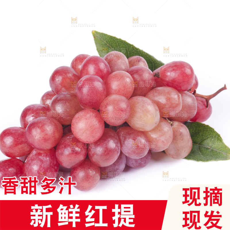 白底上的红提